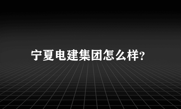 宁夏电建集团怎么样？