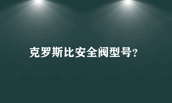 克罗斯比安全阀型号？