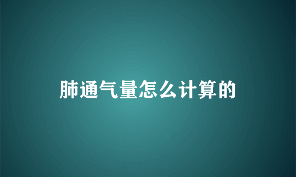 肺通气量怎么计算的