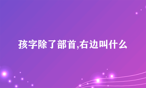 孩字除了部首,右边叫什么