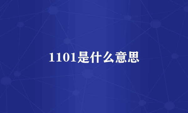 1101是什么意思