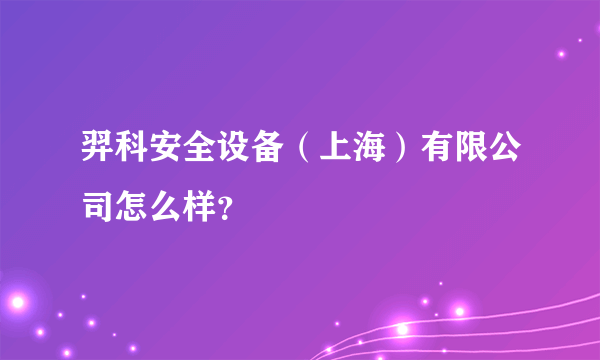 羿科安全设备（上海）有限公司怎么样？