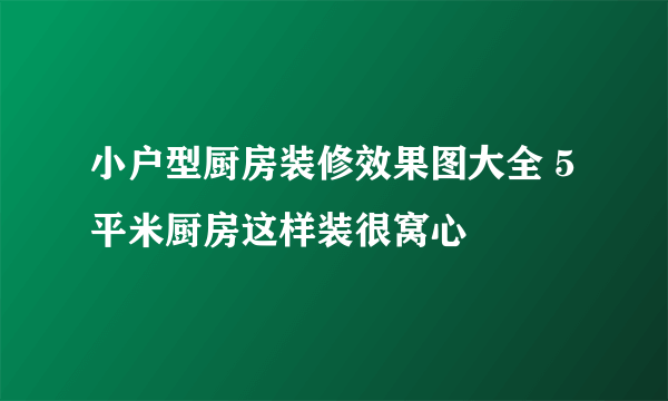 小户型厨房装修效果图大全 5平米厨房这样装很窝心