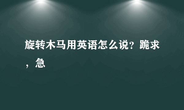 旋转木马用英语怎么说？跪求，急