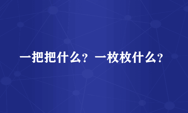 一把把什么？一枚枚什么？