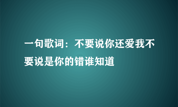 一句歌词：不要说你还爱我不要说是你的错谁知道