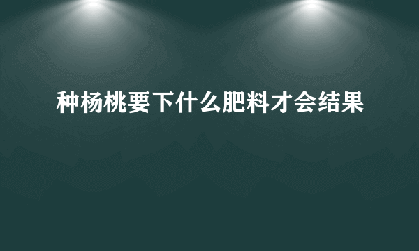 种杨桃要下什么肥料才会结果