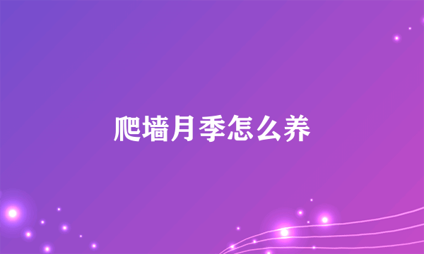 爬墙月季怎么养