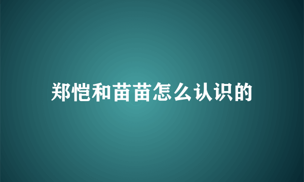 郑恺和苗苗怎么认识的