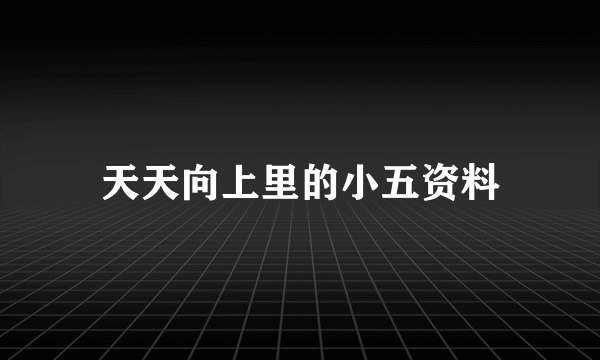 天天向上里的小五资料