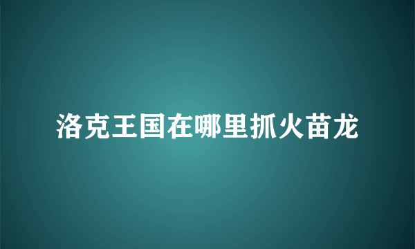 洛克王国在哪里抓火苗龙