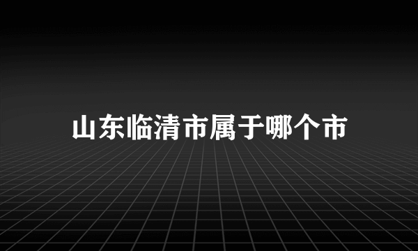 山东临清市属于哪个市