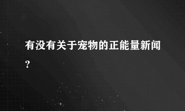 有没有关于宠物的正能量新闻？