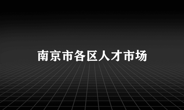 南京市各区人才市场