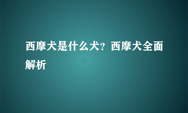 西摩犬是什么犬？西摩犬全面解析