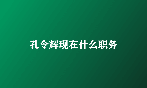 孔令辉现在什么职务