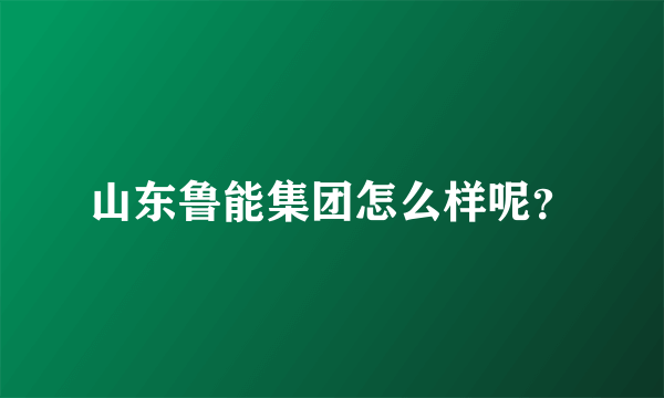 山东鲁能集团怎么样呢？