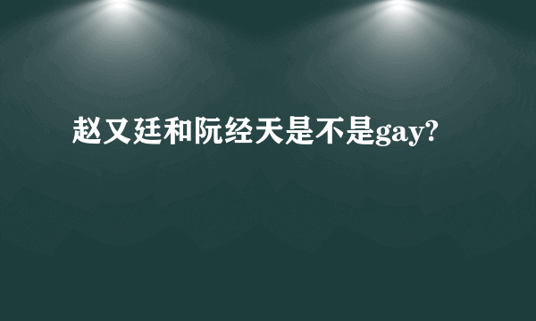 赵又廷和阮经天是不是gay?