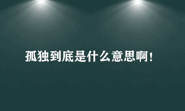 孤独到底是什么意思啊！