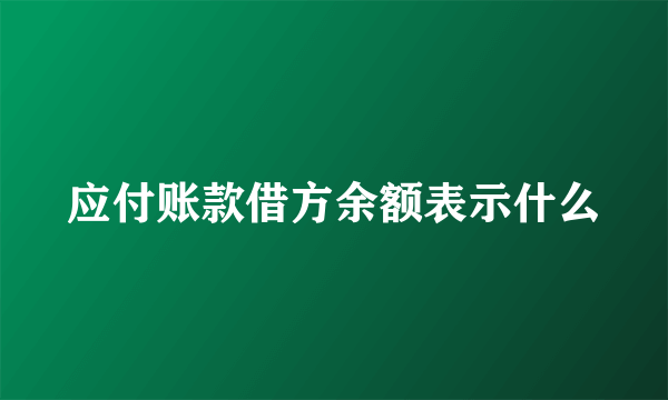 应付账款借方余额表示什么