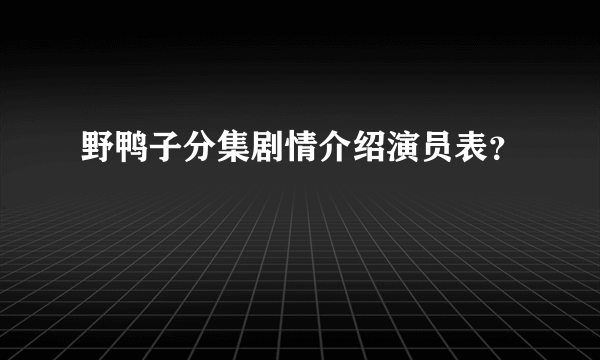 野鸭子分集剧情介绍演员表？