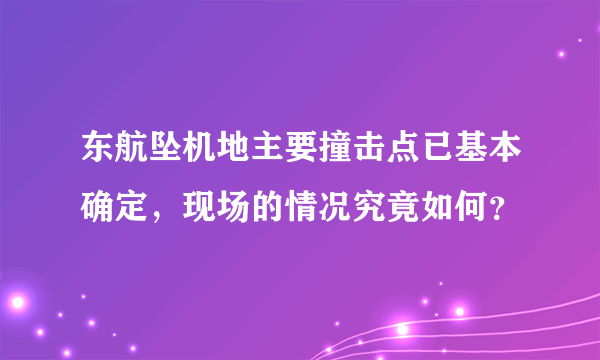 东航坠机地主要撞击点已基本确定，现场的情况究竟如何？