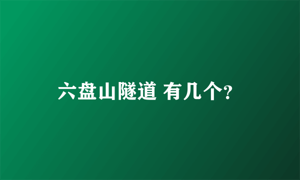 六盘山隧道 有几个？