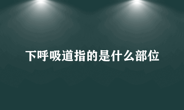 下呼吸道指的是什么部位