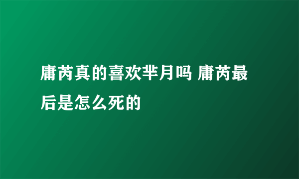 庸芮真的喜欢芈月吗 庸芮最后是怎么死的