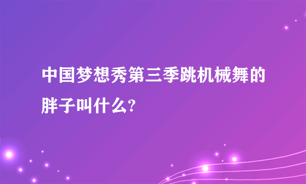 中国梦想秀第三季跳机械舞的胖子叫什么?