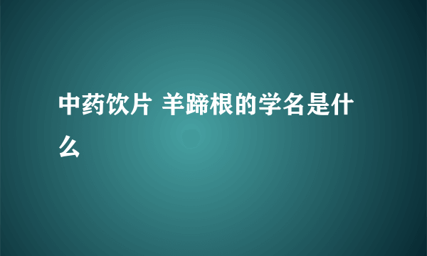 中药饮片 羊蹄根的学名是什么