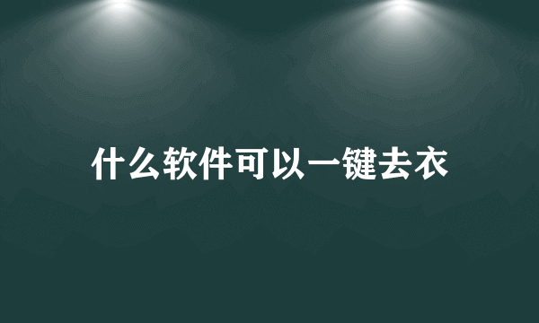 什么软件可以一键去衣