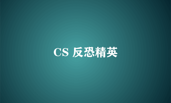 CS 反恐精英