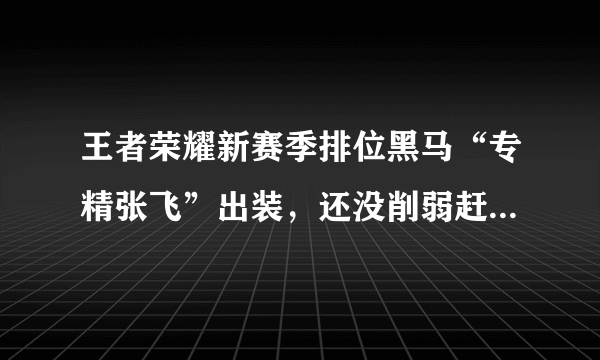 王者荣耀新赛季排位黑马“专精张飞”出装，还没削弱赶紧上分去！