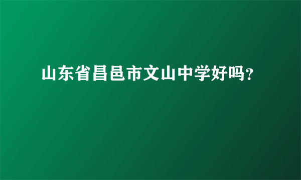 山东省昌邑市文山中学好吗？