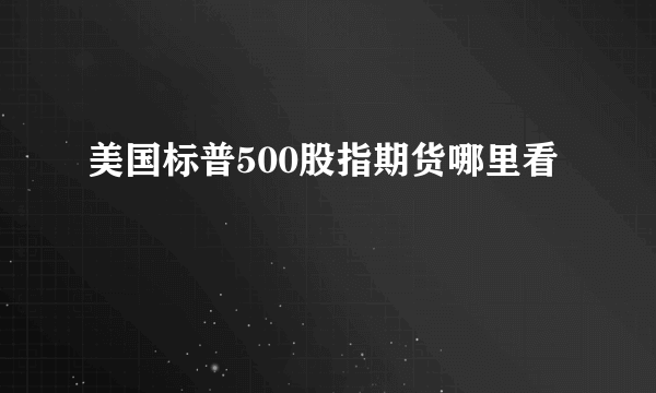 美国标普500股指期货哪里看