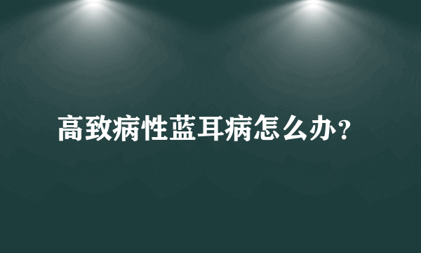 高致病性蓝耳病怎么办？