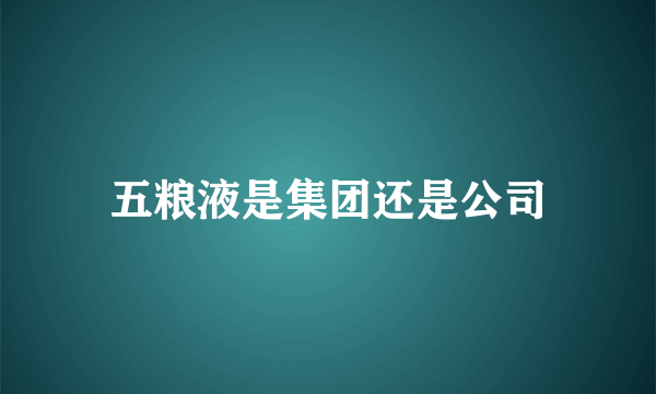 五粮液是集团还是公司