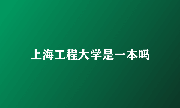 上海工程大学是一本吗