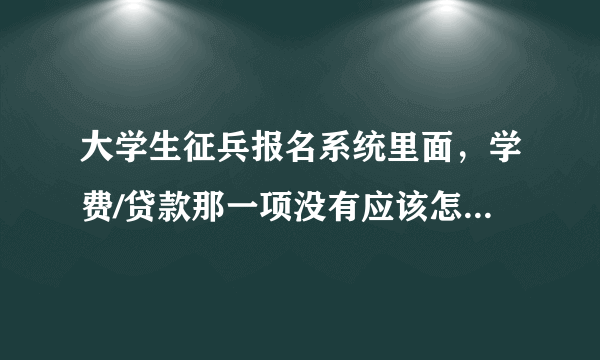 大学生征兵报名系统里面，学费/贷款那一项没有应该怎么填？谢谢！