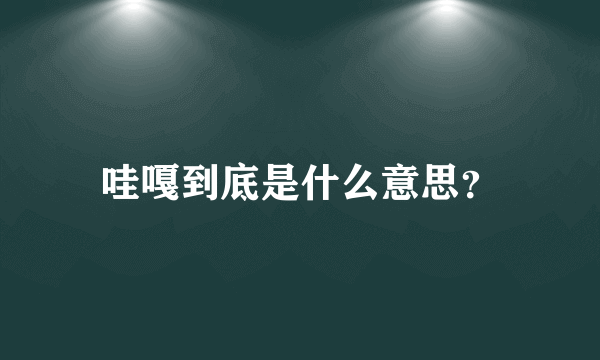 哇嘎到底是什么意思？