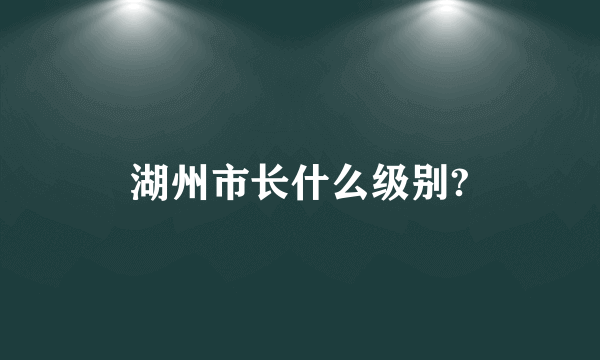 湖州市长什么级别?