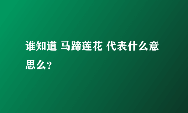 谁知道 马蹄莲花 代表什么意思么？