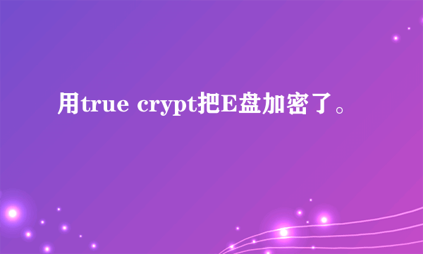 用true crypt把E盘加密了。