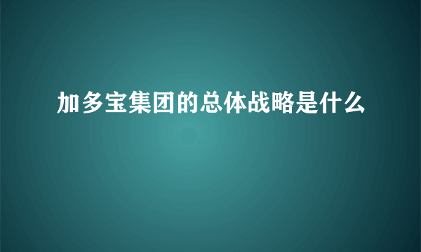 加多宝集团的总体战略是什么