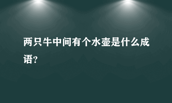 两只牛中间有个水壶是什么成语？