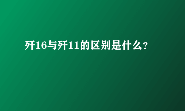 歼16与歼11的区别是什么？