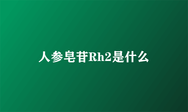 人参皂苷Rh2是什么