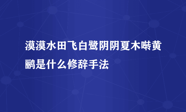 漠漠水田飞白鹭阴阴夏木啭黄鹂是什么修辞手法