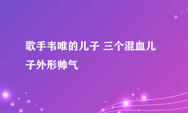 歌手韦唯的儿子 三个混血儿子外形帅气